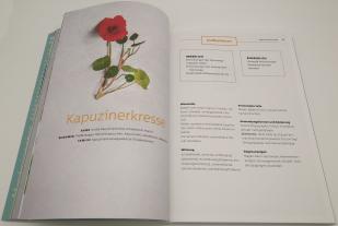 Franziska Rubin: 10 Kräuter gegen 100 Krankheiten 