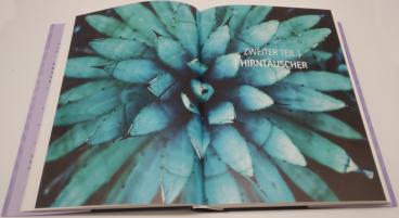 Anthony William: Heile dein Gehirn – Das Praxisprogramm 