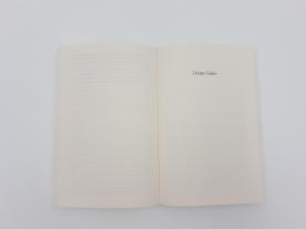 Heinrich Steinfest: Der Chauffeur 