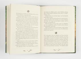 Sabine Bohlmann, Simona Ceccarelli: Ein Mädchen namens Willow 2: Waldgeflüster 