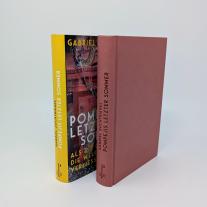 Gabriel Dr. Zuchtriegel, Gabriel Zuchtriegel: Pompejis letzter Sommer 