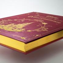 Walt Disney: Disney: Das große goldene Buch der Prinzessinnen 