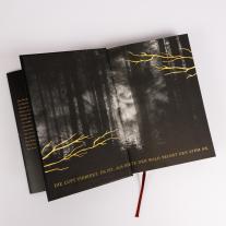 Kerstin Fricke, Lauren Palphreyman: The Wolf King (Wolf King 1) 