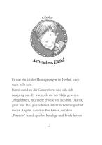 Margit Auer, Nina Dulleck: Die Schule der magischen Tiere 3: Licht aus! 