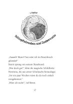 Margit Auer, Nina Dulleck: Die Schule der magischen Tiere 7: Wo ist Mr. M? 