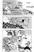 Toriyama Akira, Akira Toriyama (Original Story), Toyotarou: Dragon Ball Super 17 