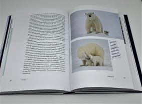 Markus Rex: Eingefroren am Nordpol 