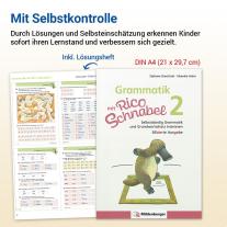 Stefanie Drecktrah, Mareike Hahn: Grammatik mit Rico Schnabel, Klasse 2 - silbierte Ausgabe 
