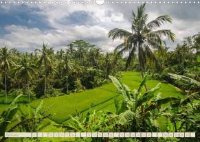 Roman Burri: Bali (Wandkalender 2022 DIN A3 quer) 