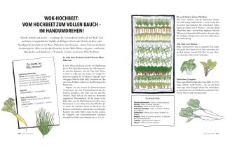 Doris Kampas, Ruth Veres: Das unglaubliche Hochbeet 