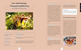 Stefan Marxer: Pilzvergnügt 