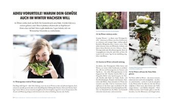 Doris Kampas, Ruth Veres: Das sensationelle Winterhochbeet 