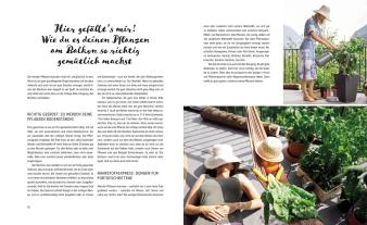 Fühl dich Löwenzahn: Dein fantastischer Balkongarten 