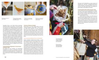 Sigrid Drage: Wie du dein eigenes Saatgut gewinnst – und so ein kleines Stück Welt rettest 