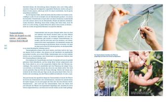 Sascha Singh: Einfach mehr ernten 