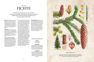 Karin Buchart, Miriam Wiegele, Andreas Leitner: Die Natur-Apotheke 