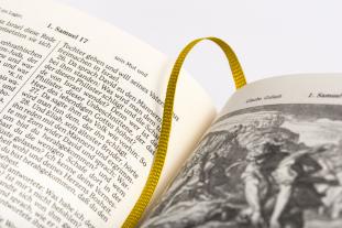 Martin Luther: Die Bibel - Altes und Neues Testament nach Martin Luther. In Cabra-Leder gebunden mit Goldprägung 