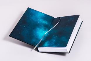 Birgit Fischer: Starseeds-Contact 