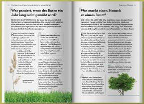 Guy Barter: Wie lange braucht eine Schnecke zurück in meinen Garten? 