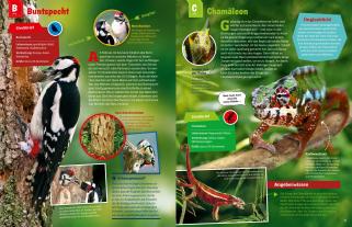 Andrea Weller-Essers: WAS IST WAS Geniale Tiere ... und ihre Tricks 