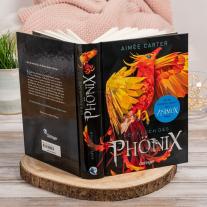 Aimée Carter, Frauke Schneider: Der Fluch des Phönix 