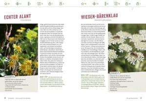 Elke Schwarzer: Richtig gute Pflanzen für Insekten 