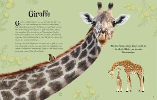 Eva Sixt, Ben Hoare, Daniel Long, Angela Rizza, Daniela Terrazzini, DK Verlag - Kids: Wundervolle Welt der Tiere 