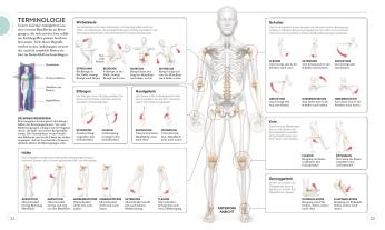 Anke Wellner-Kempf, DK Verlag, Ingrid S. Clay: HIIT - Die Anatomie verstehen 