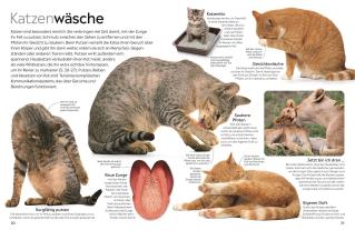 Susanne Schmidt-Wussow, DK Verlag - Kids, Juliet Clutton-Brock: memo Wissen. Katzen 