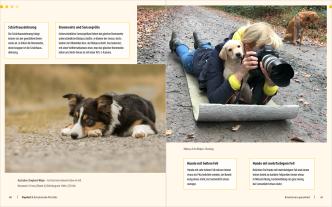 Regine Heuser, Heuser Regine: Hunde-Shooting - Fotografieren mit „Wau-Effekt“ 