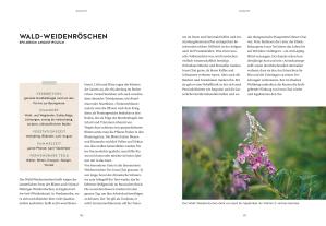 Wolf-Dieter Storl: Mein Gartenkalender 2024 