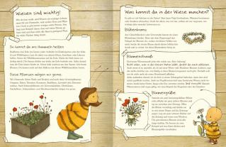 Maite Kelly, Britta Sabbag, Joëlle Tourlonias: Die kleine Hummel Bommel entdeckt die Wiese 
