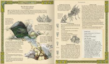 Cornelia Panzacchi, Ernest Drake: Expedition in die geheime Welt der Drachen 
