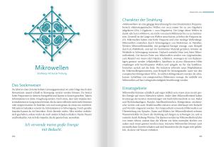 Christina Baumann, Roswitha Stark: Homöopathische Symbolapotheke. 70 wichtige "Kleine Mittel" 