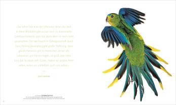 Susan Tyler Hitchcock: NATIONAL GEOGRAPHIC 