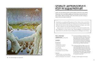 Robert Tuesley Anderson: Das große Kochbuch inspiriert von Tolkiens Legenden 