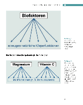Karl Hecht: Biofaktoren für gesundes Altern 