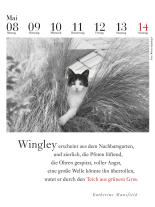 Julia Bachstein: Der literarische Katzenkalender 2023 