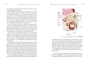 Gerlinde Debus, Meike Dr. med.  Scheuplein, Meike Dr. med. Scheuplein, Gerlinde Prof. Dr. med.  Debus, Gerlinde Prof. Dr. med. Debus, Meike Scheuplein: NeuroIntegrative Medizin: Durch körpereigene Intelligenz die Selbstheilungskräfte aktivieren 
