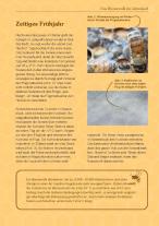Andreas Heidinger: Mit Bienen die Welt retten 