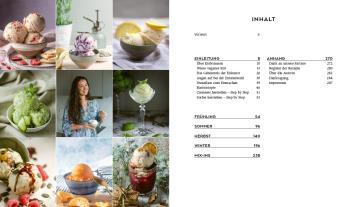 Lucy Allary · Eisbrunnen: Die vegane Eis-Bibel 