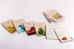 Verena König, Verena Mayer-Kolbinger: Verbinde dich mit dir selbst 