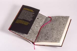 Walter Moers: Das Einhörnchen, das rückwärts leben wollte 