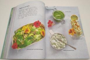 Franziska Rubin: 10 Kräuter gegen 100 Krankheiten 