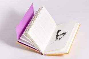 Verena von Koskull, Barbara Capponi, Andrea Ferolla: So erziehst du deinen Menschen 