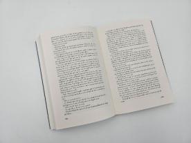 Richard Schwartz: Die Rovan-Intrige 