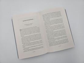 Lena Falkenhagen, Thomas Finn: Ruinen der Elfen 