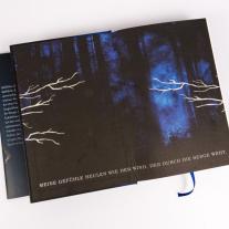 Kerstin Fricke, Lauren Palphreyman: The Night Prince (Wolf King 2) 