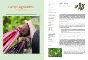 Pro Specie Rara, Verein ARCHE NOAH, Andrea Heistinger: Handbuch Samengärtnerei 