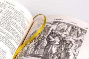 Julius Schnorr von Carolsfeld, Martin Luther: Die Bibel (Geschenkausgabe, Cabra-Leder) 